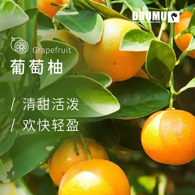 葡萄柚植物单方精油
